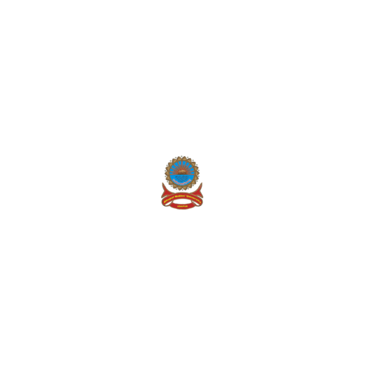Bhupal Nobles' University logo