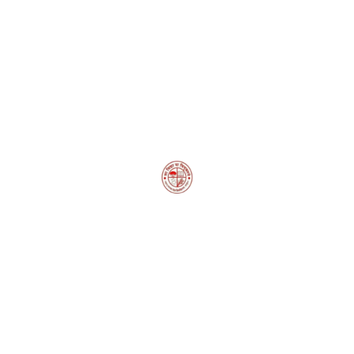 Bhupendra Narayan Mandal University logo