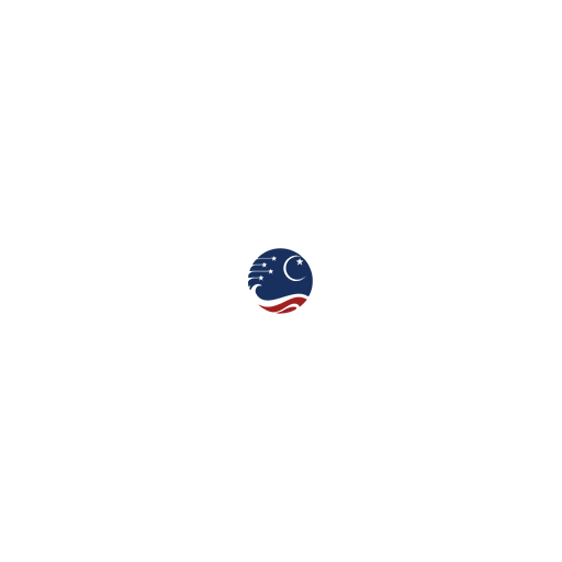 B.S. Abdur Rahman Crescent Institute of Science and Technology logo