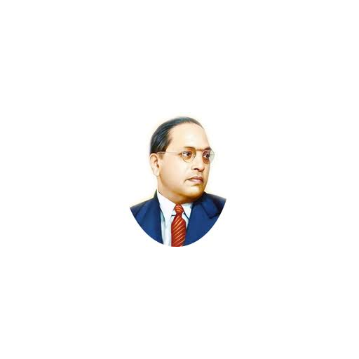 Dr. Bhimrao Ambedkar Law University logo