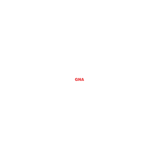 GNA University logo