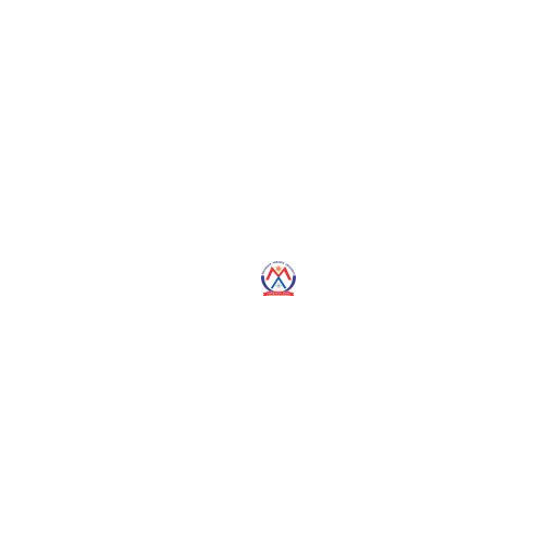 Maharaja Agrasen University logo