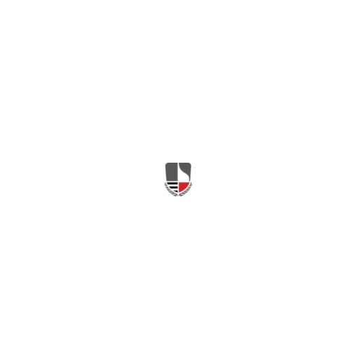 Narsee Monjee Institute of Management Studies logo