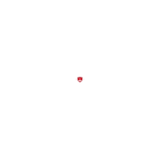 Netaji Subhas University logo