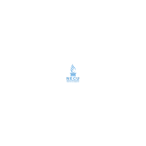 North East Christian University logo