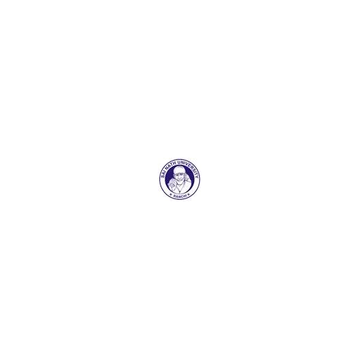 Sai Nath University logo
