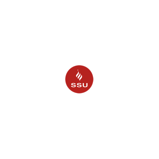 Sri Sai University logo