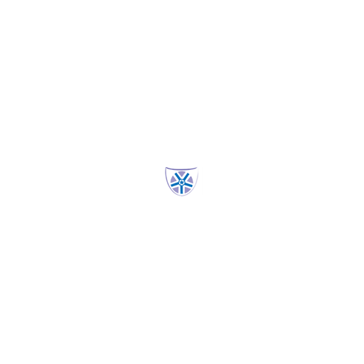 Vignan's Foundation for Science, Technology and Research logo