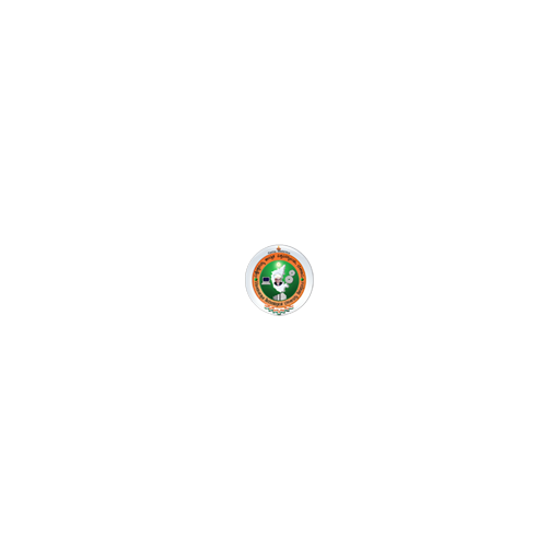 Visvesvaraya Technological University logo